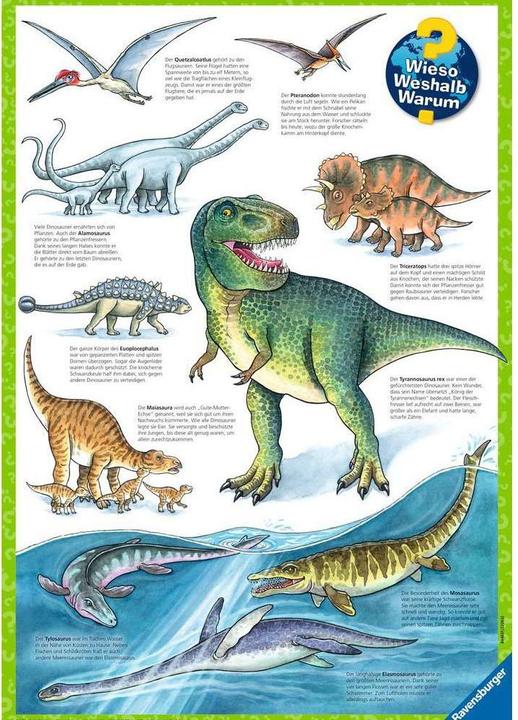 Actual product image Ravensburger Dinosaurs and their habitats (24 pieces)