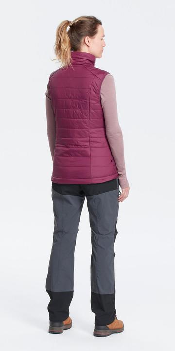 Image du produit Forclaz TREK100 (XXL)