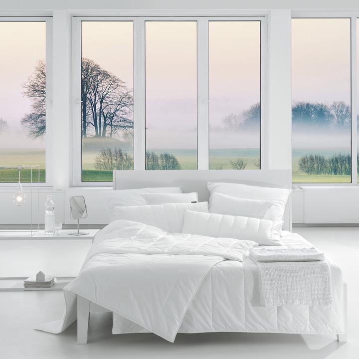 Immagine prodotto Centa-Star Trapunta Duo (960 g, 155 x 220 cm)