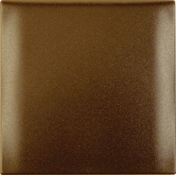 Actual product image Berker Frame