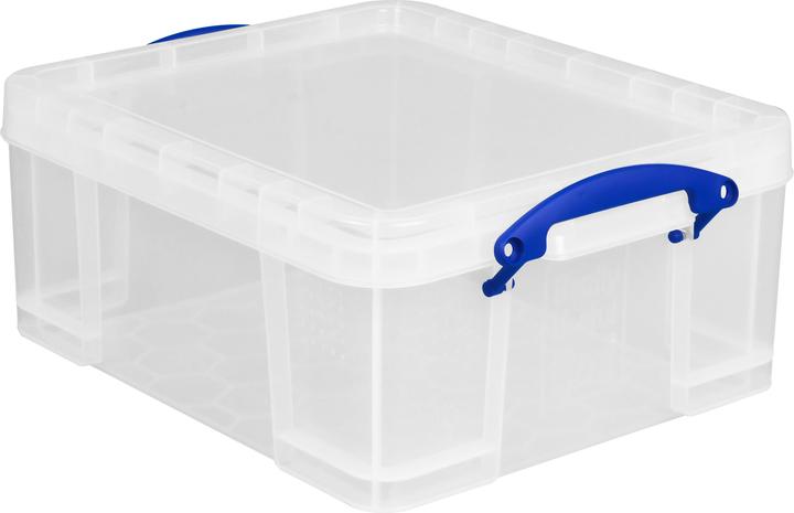 Immagine prodotto Really Useful Box Box utile (45 x 35 x 20 cm, 21 l)