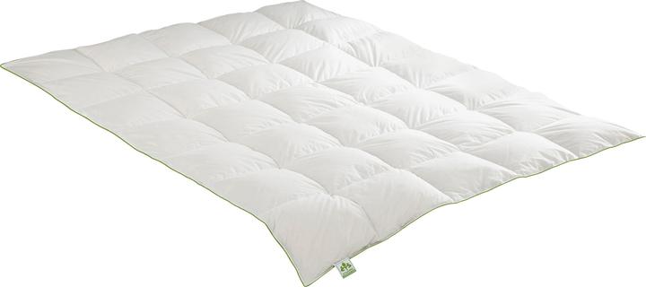 Actual product image Irisette Comforter "Down (650 g, 155 x 200 cm)