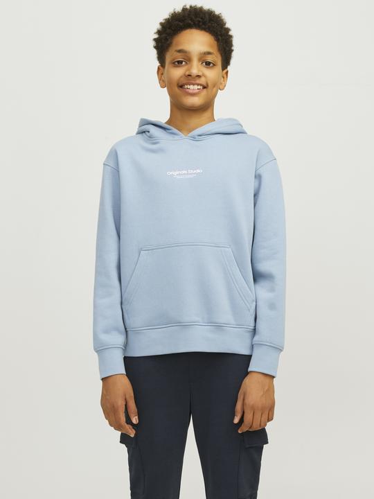 Immagine prodotto Jack & Jones Jorvesterbro Sweat Hood Noos Mni (110)