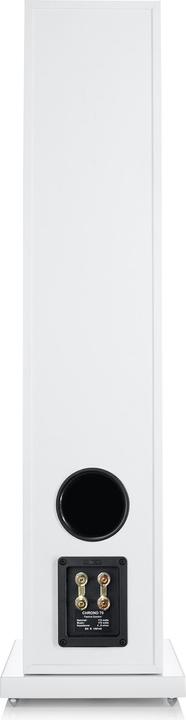 Actual product image Canton Chrono 70 (1 pcs., 170 W)