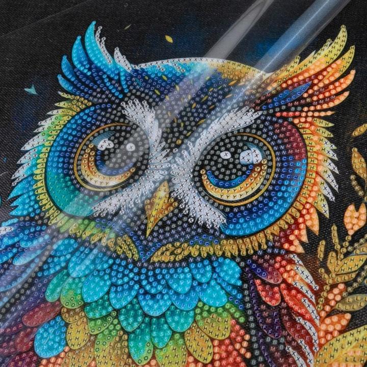 Image du produit Craft Buddy Hibou, 30x30cm Crystal Art Kit