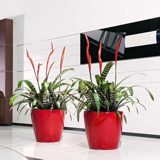 Produktbild Lechuza Classico (28.50 cm)