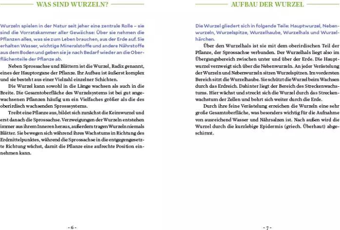 Image du produit Die Kraft der Wurzeln (Allemand, Le berceau de Miriam, 2020)