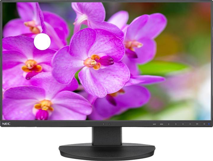 NEC MultiSync EA241F (1920 x 1080 pixels, 24")