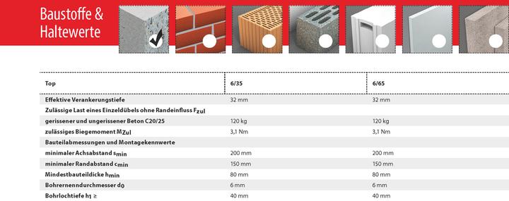 Actual product image Tox Ceiling nail Top Ø 6x65 mm, 100 pcs. (100 pcs.)