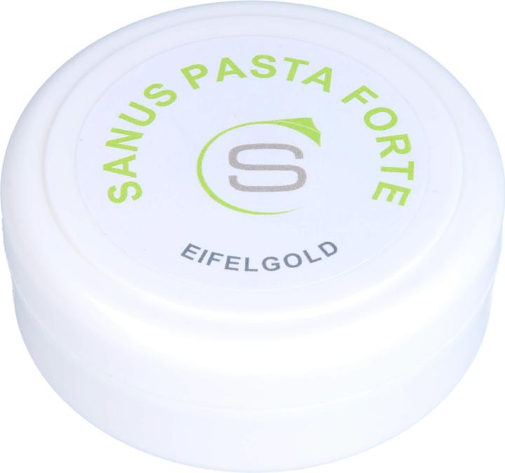Sanus PASTA FORTE, 100 g Salbe (Körpercreme)