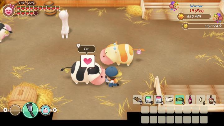 Actual product image Marvelous Story of Seasons : Friends of Mineral Town (Switch, FR)