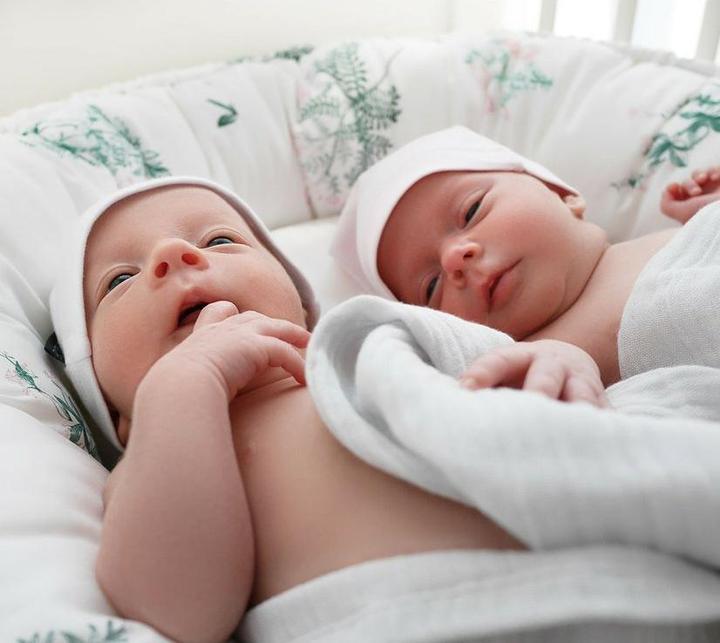 Actual product image La Millou Baby Nest XL - ABC Farm