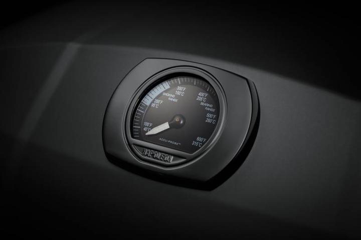 Actual product image Napoleon TravelQ Pro 285 X (4.10 kW)
