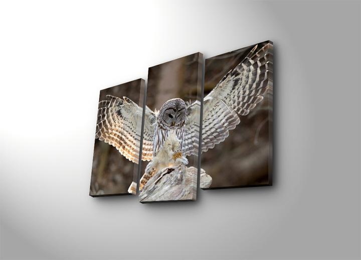 Produktbild Wallxpert Ariyah (20 x 39 cm, 66 x 45 cm, 20 x 45 cm)