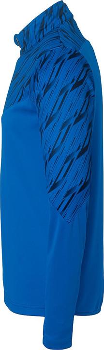 Actual product image Uhlsport 1/4 ZIP TOP Progressive 28 (116)