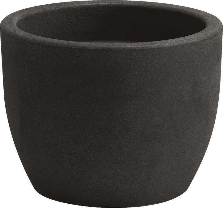 Giarnaldo Hera (40 cm)