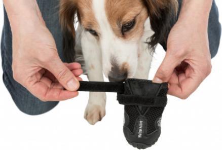 Produktbild Trixie Pfotenschutz Walker Active (S, M, Hundeschuhe)
