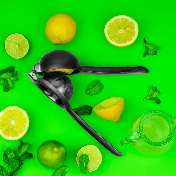 Actual product image Lurch Lemon press-B stainless steel smokey grey