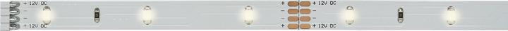 Paulmann Your LED Eco (Warm white, 100 cm, Indoor)