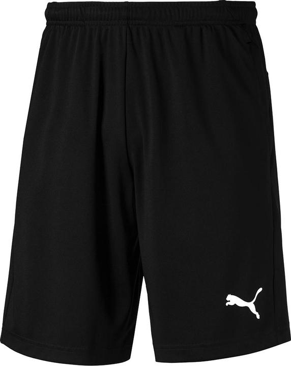 Puma Liga Training Shorts (M)