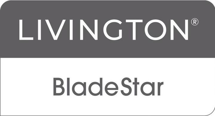 Image du produit Livington Aiguiseur de couteaux