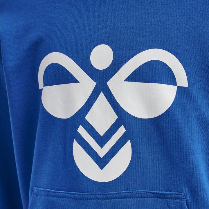 Actual product image hummel Cuatro Hoodie (164)
