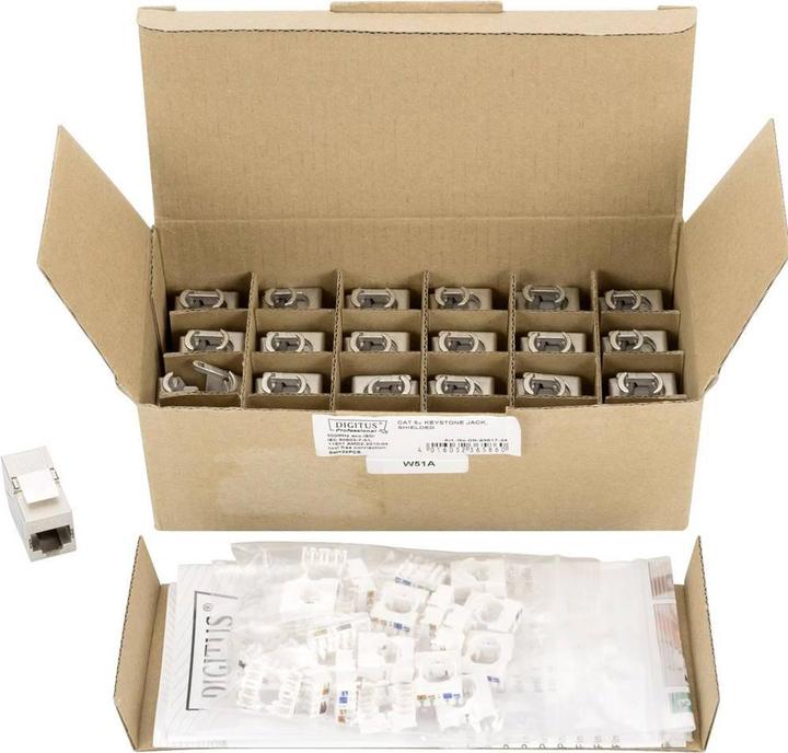 Actual product image Digitus CAT 6A Keystone Module,gesch. (Keystone module)