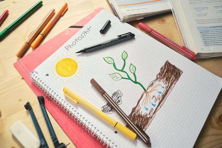 Produktbild STABILO pointMax Filzschreiber (Braun, 1 x)