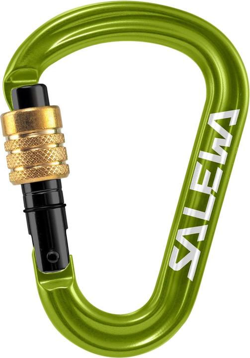 Actual product image Salewa HMS Pro carabiner