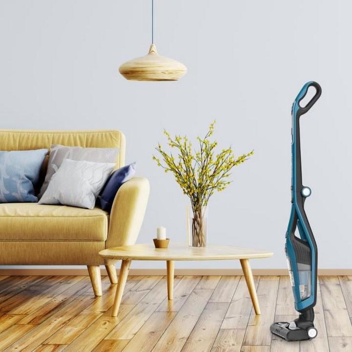 Image du produit Rowenta RH6756WO Dual Force 2 en 1