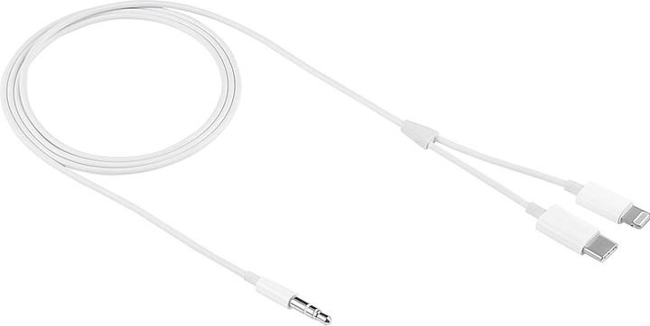 Immagine prodotto PowerGuard Cavo audio Lightning e USB-C per smartphone per auto AUX da 3,5 mm 1m (Lightning, USB tipo C)