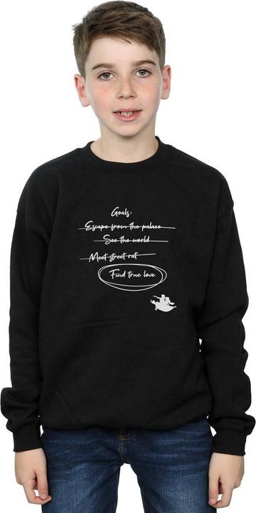 Actual product image Disney Boys Aladdin Jasmine Goals Sweatshirt (152, 158)