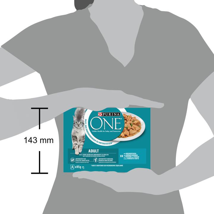 Immagine prodotto Purina ONE Pesce dell'oceano (Adulto, 8 pz., 85 g)