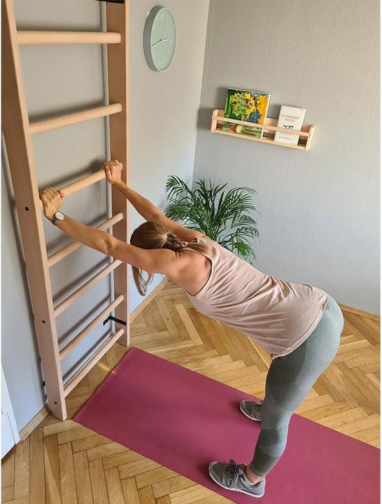 Actual product image BenchK Wall bars 110