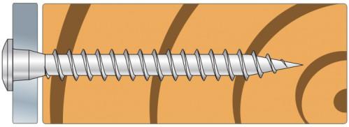 Actual product image Simpson Sst Screws (200 pcs.)