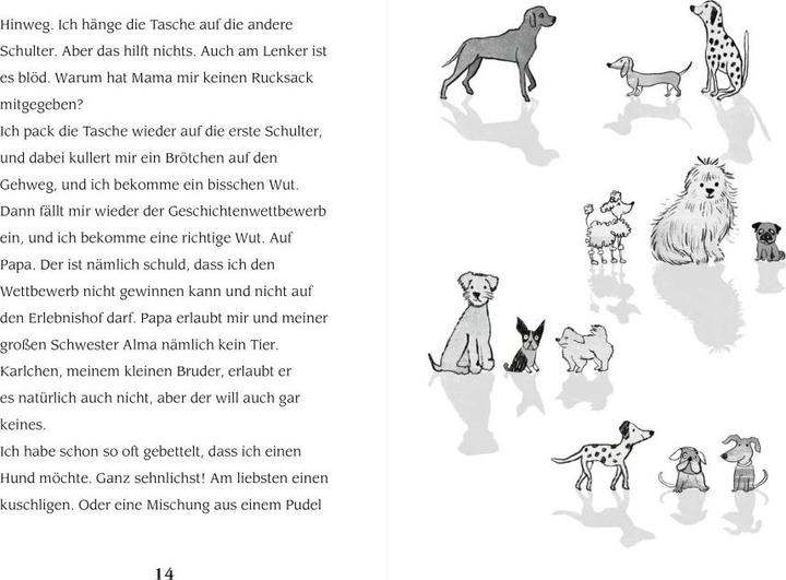 Produktbild Lisis Wirbelwindtage (Deutsch, Valija Zinck, Annabelle von Sperber, 2022)