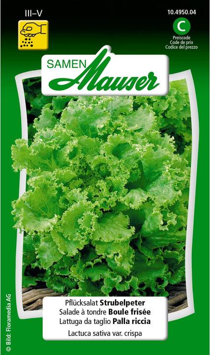Samen Mauser Pflücksalat Strubelpeter (Gemüsesamen)