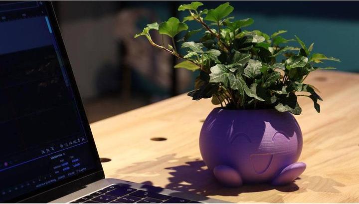 Produktbild Polymaker PolyTerra (PLA, 1.75 mm, 1000 g, Grün)