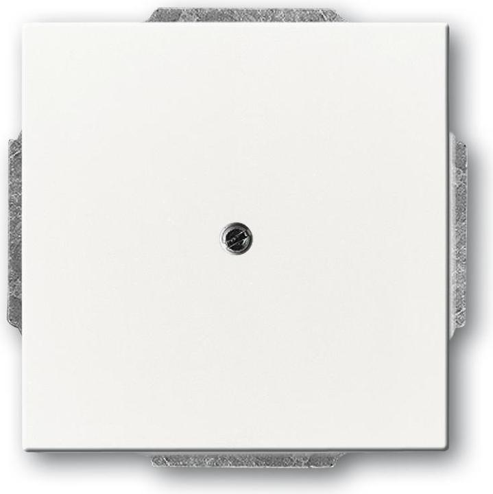 Actual product image Busch-Jaeger Central disk