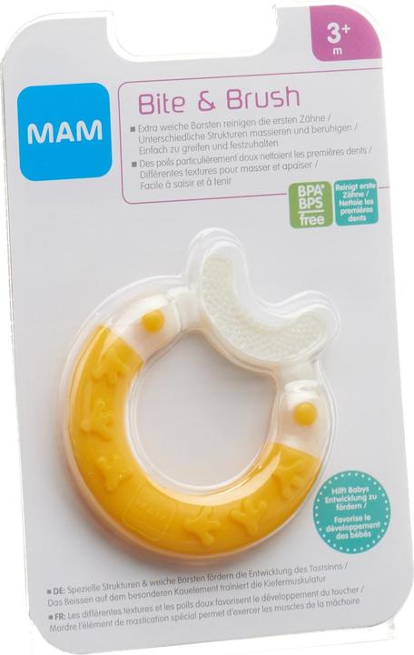 Image du produit MAM Bite & Brush assortis