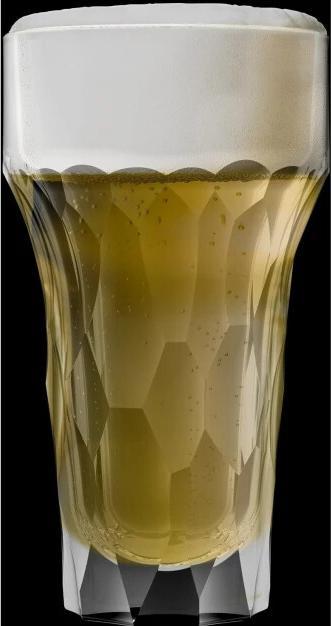 Image du produit La Rochère Verre à bière Silex 430 ml, 4 pièces, Transparent (0.43 l, 4 x)