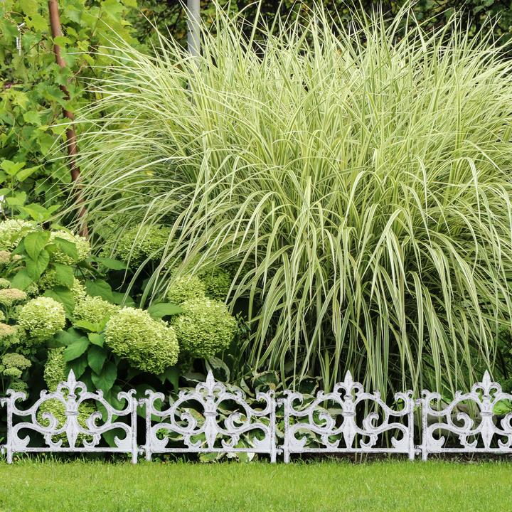 Actual product image Relaxdays Cast Iron Flowerbed Fence, Vintage Design (27 cm)