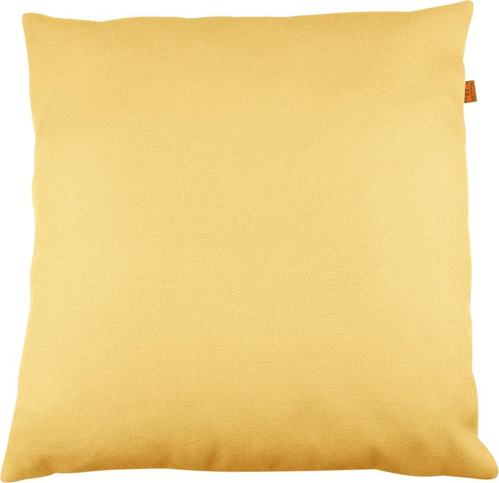 Maize yellow