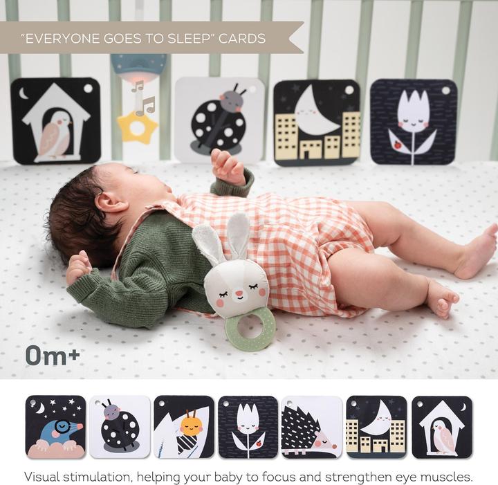 Actual product image Taf Toys Hello Baby