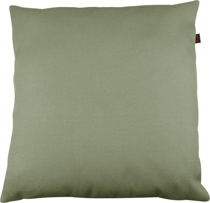 Bischof-Gross Uni (38 x 38 cm)