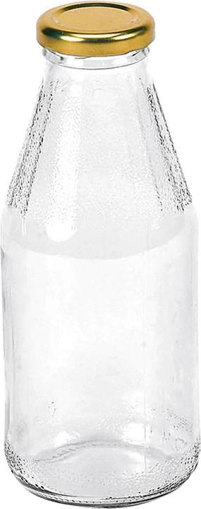 Actual product image Deti Juice bottle with lid 500 ml (1 pcs., 0.50 l)