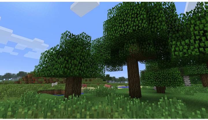 Image du produit Nintendo Minecraft (Switch, Multilingue)