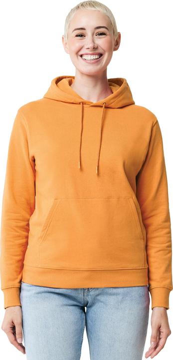 Actual product image Universal Textiles Unisex Adult Jasper Recycled Cotton Hoodie (XXL)