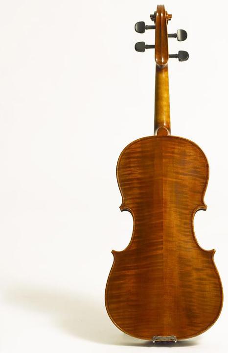 Actual product image Stentor Messina (Viola, 4/4)