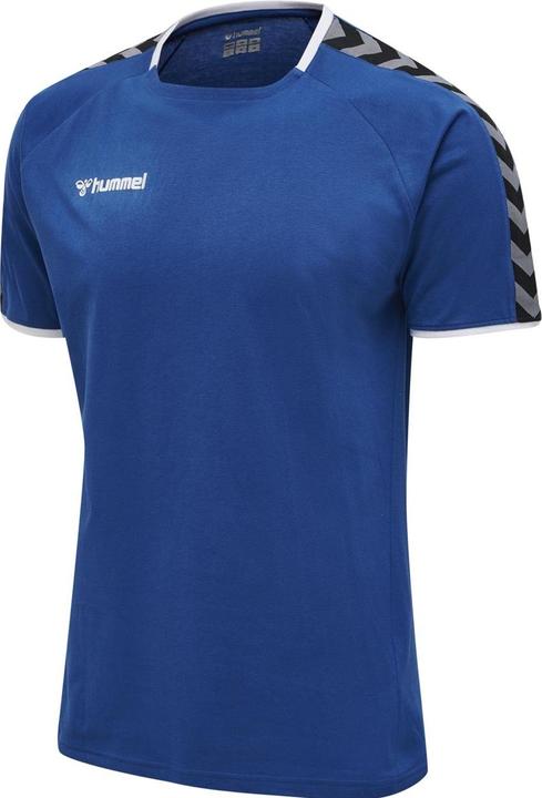 Actual product image hummel Authentic Training Tee (S)